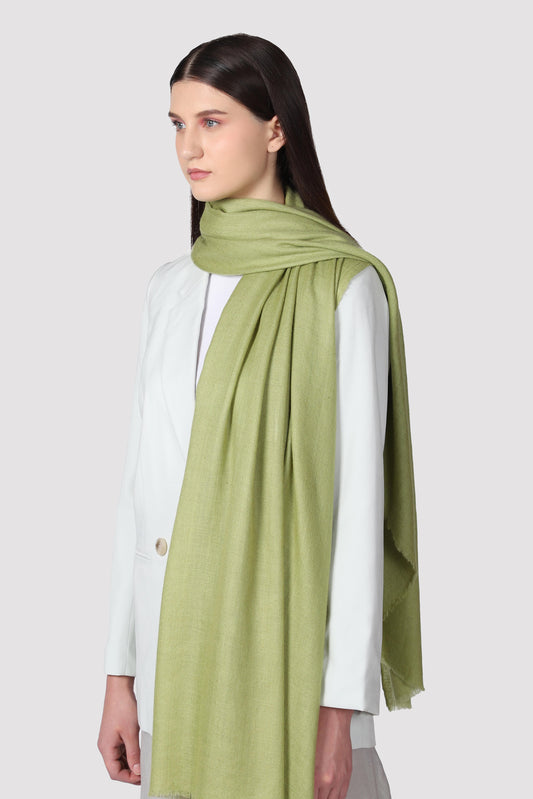 Classic Solid Cashmere Scarf - Green
